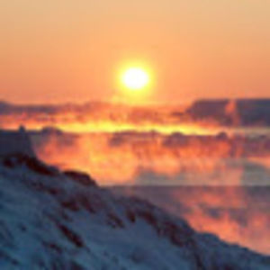 Meet your Posher, Anne